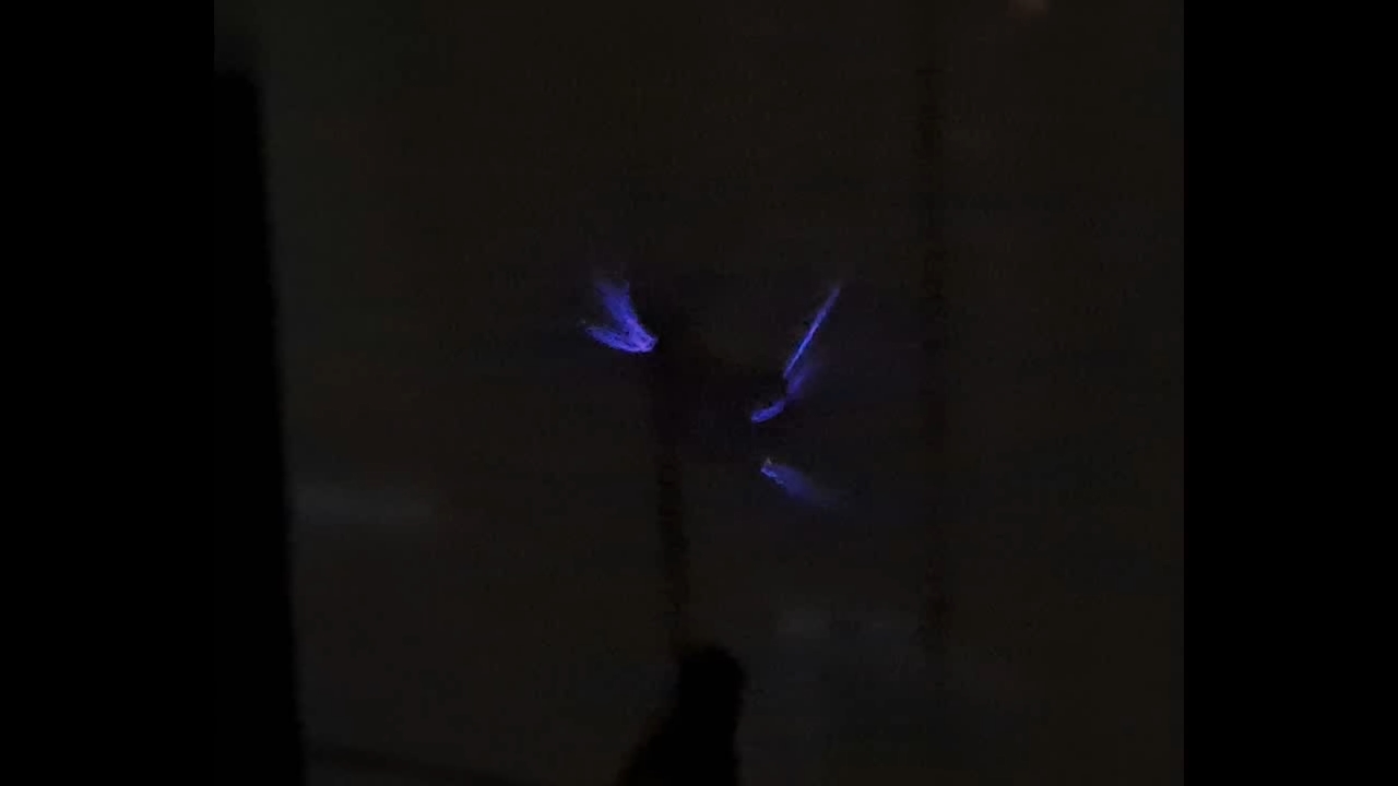 Electrospinning: Solution of Polymethyl Methacrylate (PMMA) in Methylene Chloride