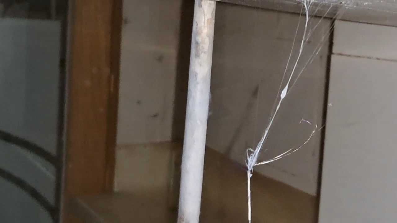 Electrospinning: Solution of Polymethyl Methacrylate (PMMA) in Methylene Chloride