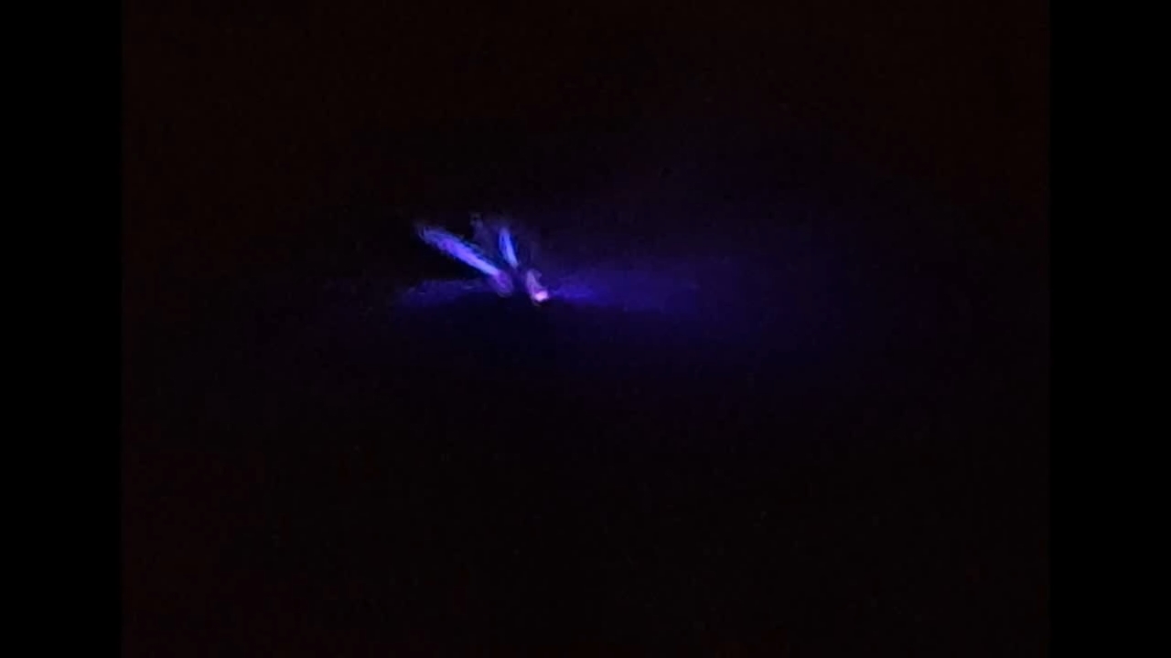 Electrospinning: Solution of Polymethyl Methacrylate (PMMA) in Methylene Chloride