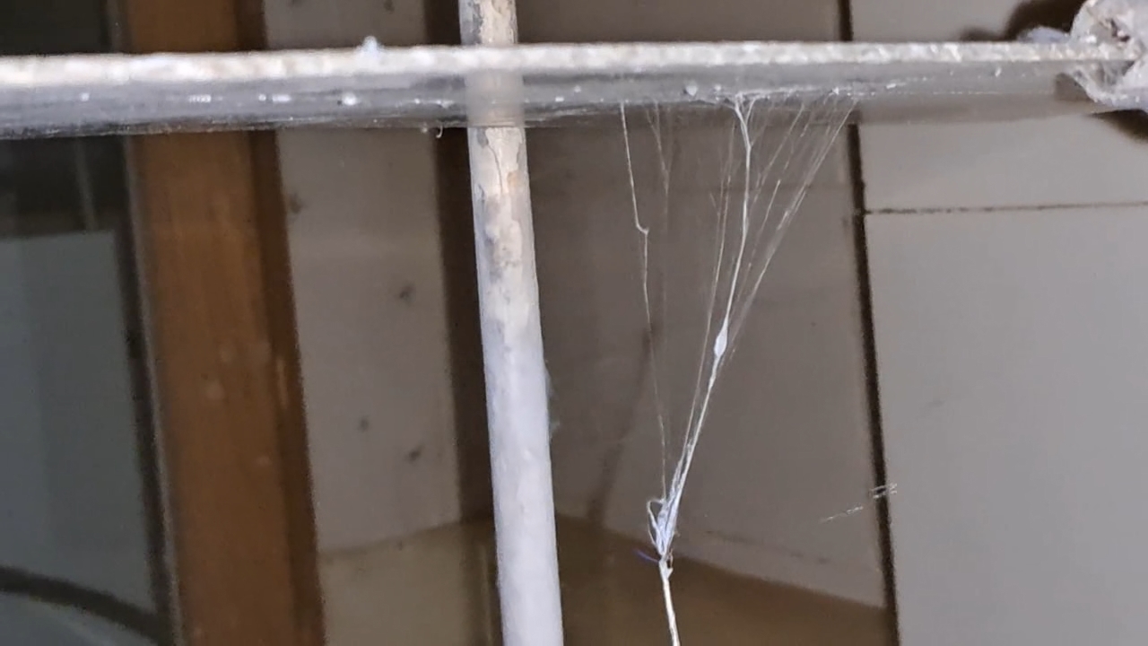 Electrospinning: Solution of Polymethyl Methacrylate (PMMA) in Methylene Chloride