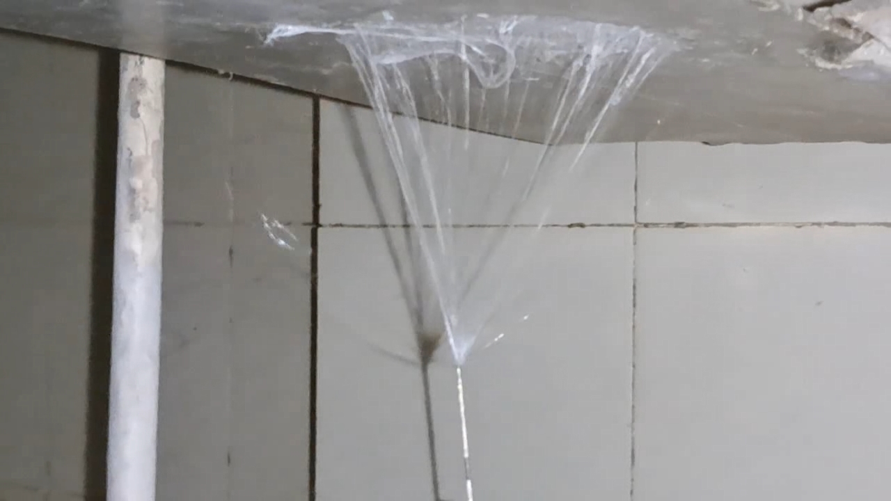 Electrospinning: Solution of Polymethyl Methacrylate (PMMA) in Methylene Chloride