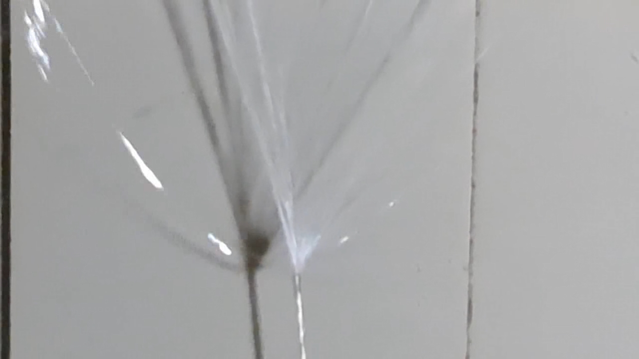 Electrospinning: Solution of Polymethyl Methacrylate (PMMA) in Methylene Chloride