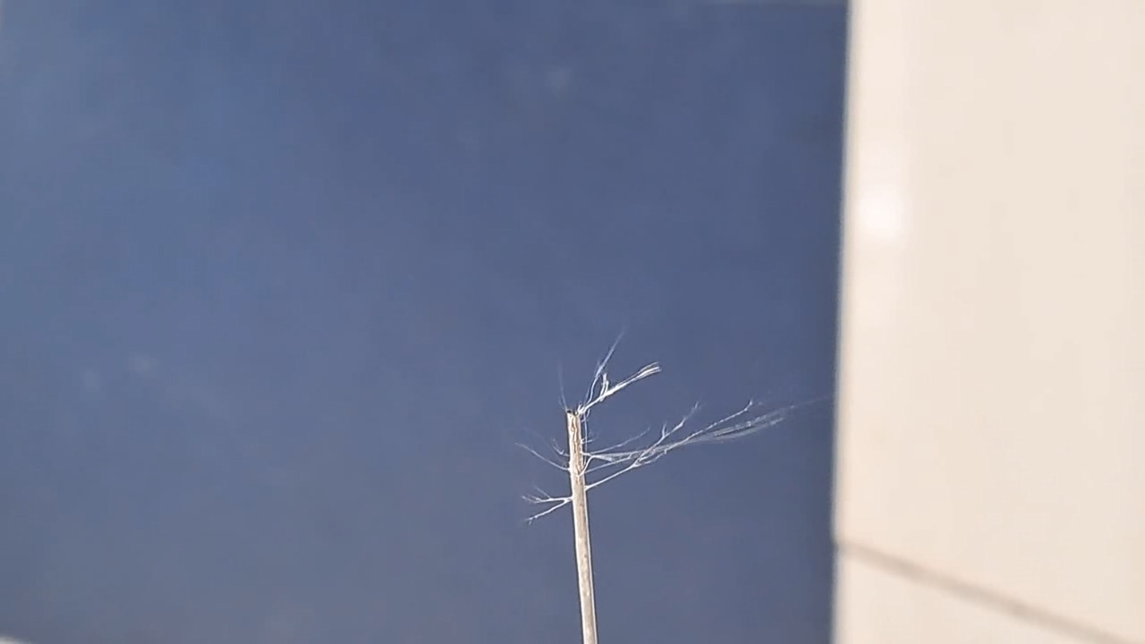 Electrospinning: Solution of Polystyrene in Dimethylformamide