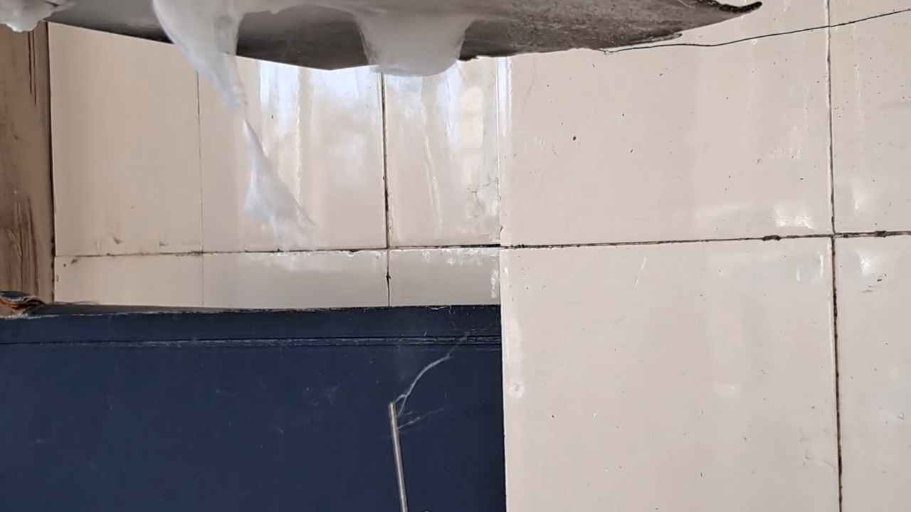 Electrospinning: Solution of Polystyrene in Dimethylformamide