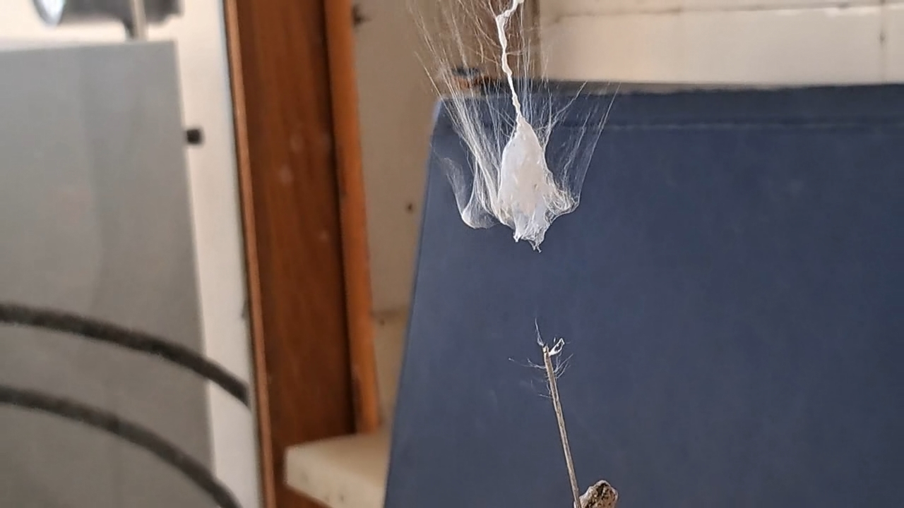 Electrospinning: Solution of Polystyrene in Dimethylformamide