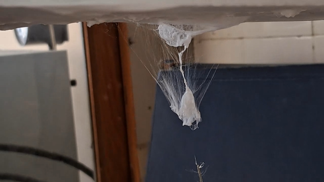 Electrospinning: Solution of Polystyrene in Dimethylformamide