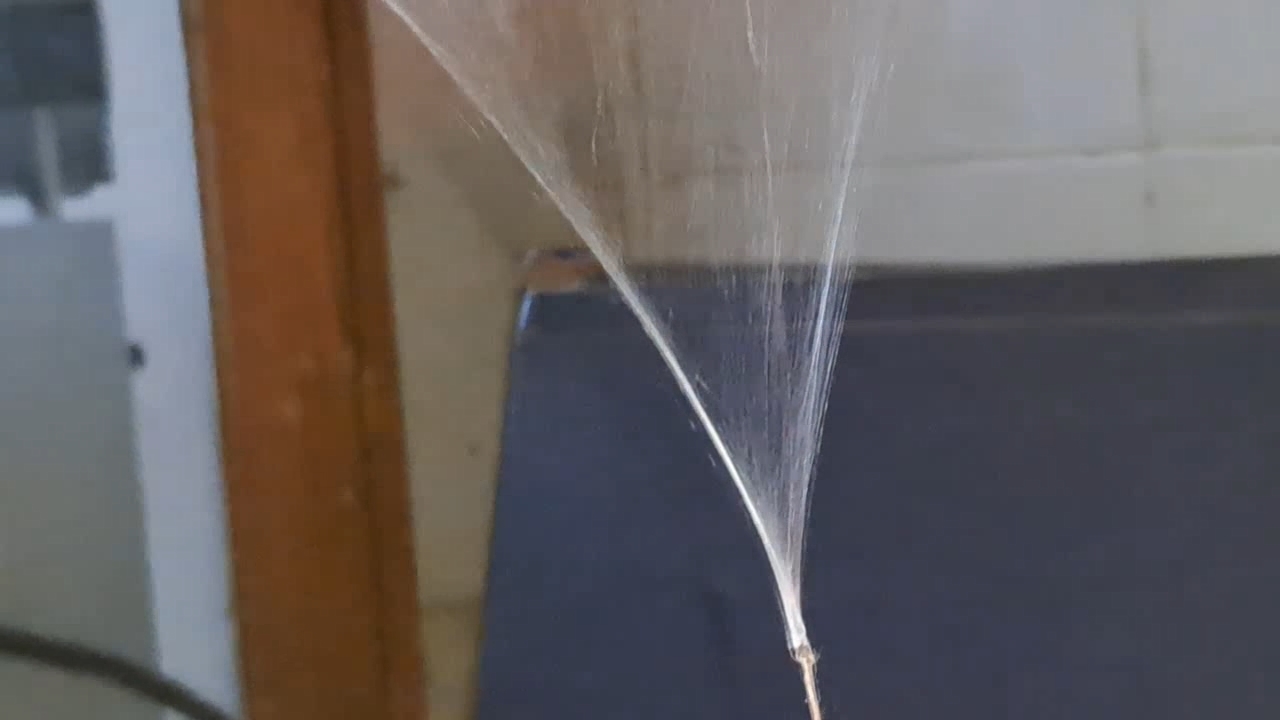 Electrospinning: Solution of Polystyrene in Dimethylformamide