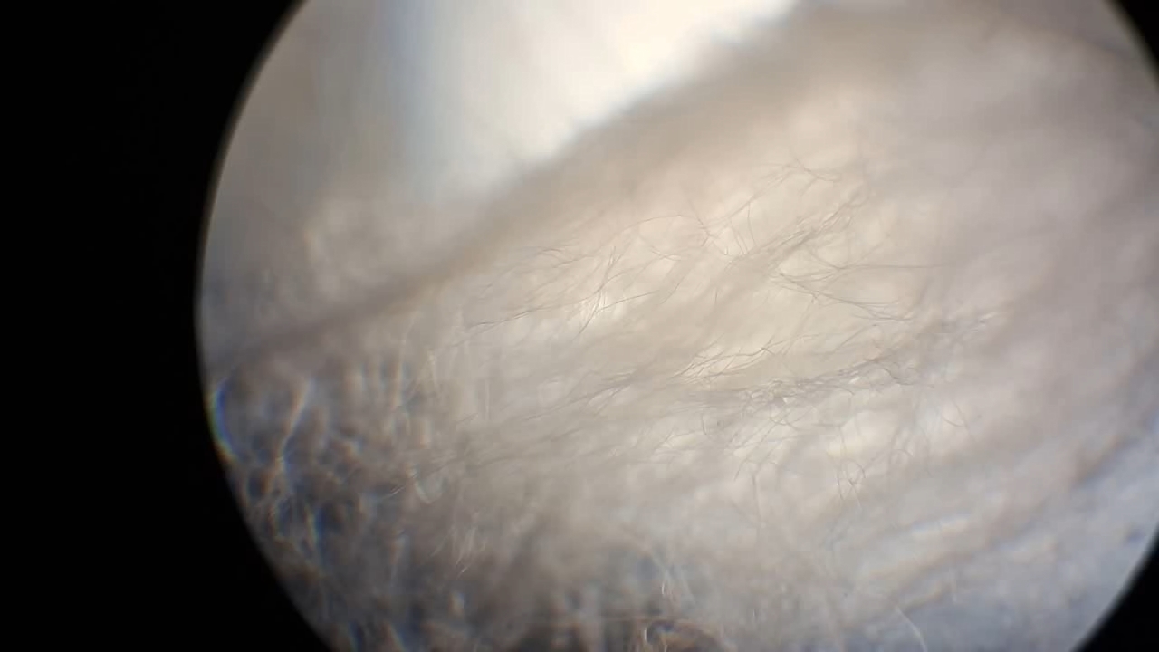 Electrospinning: Solution of Polystyrene in Dimethylformamide