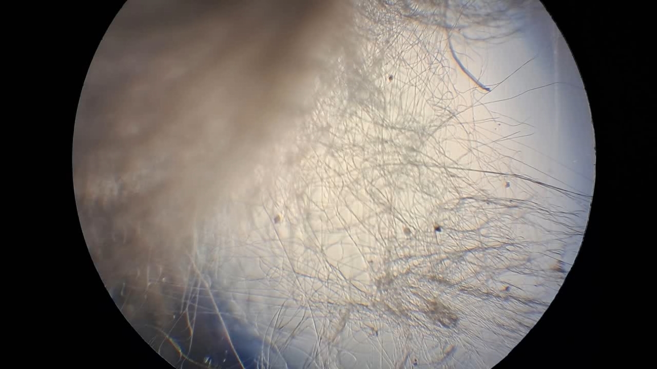 Electrospinning: Solution of Polystyrene in Dimethylformamide