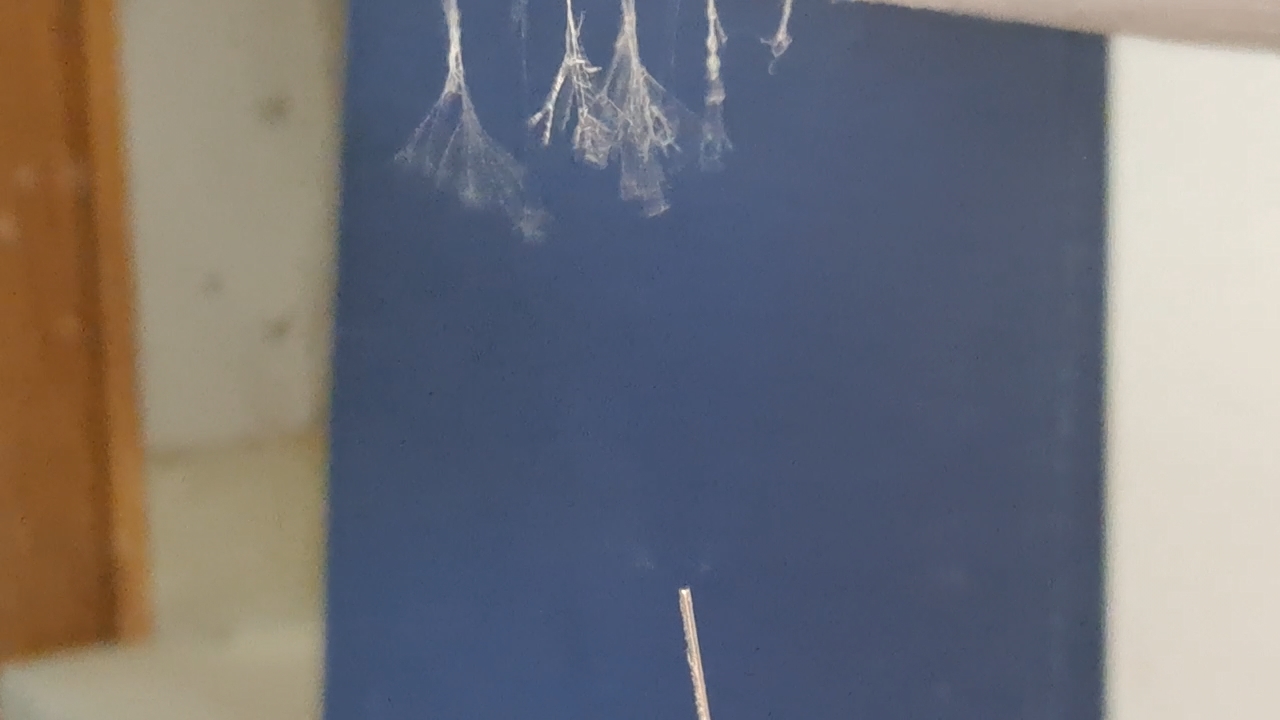 Electrospinning: Solutions of Polystyrene and Polyvinylidene Difluoride in Dimethylformamide