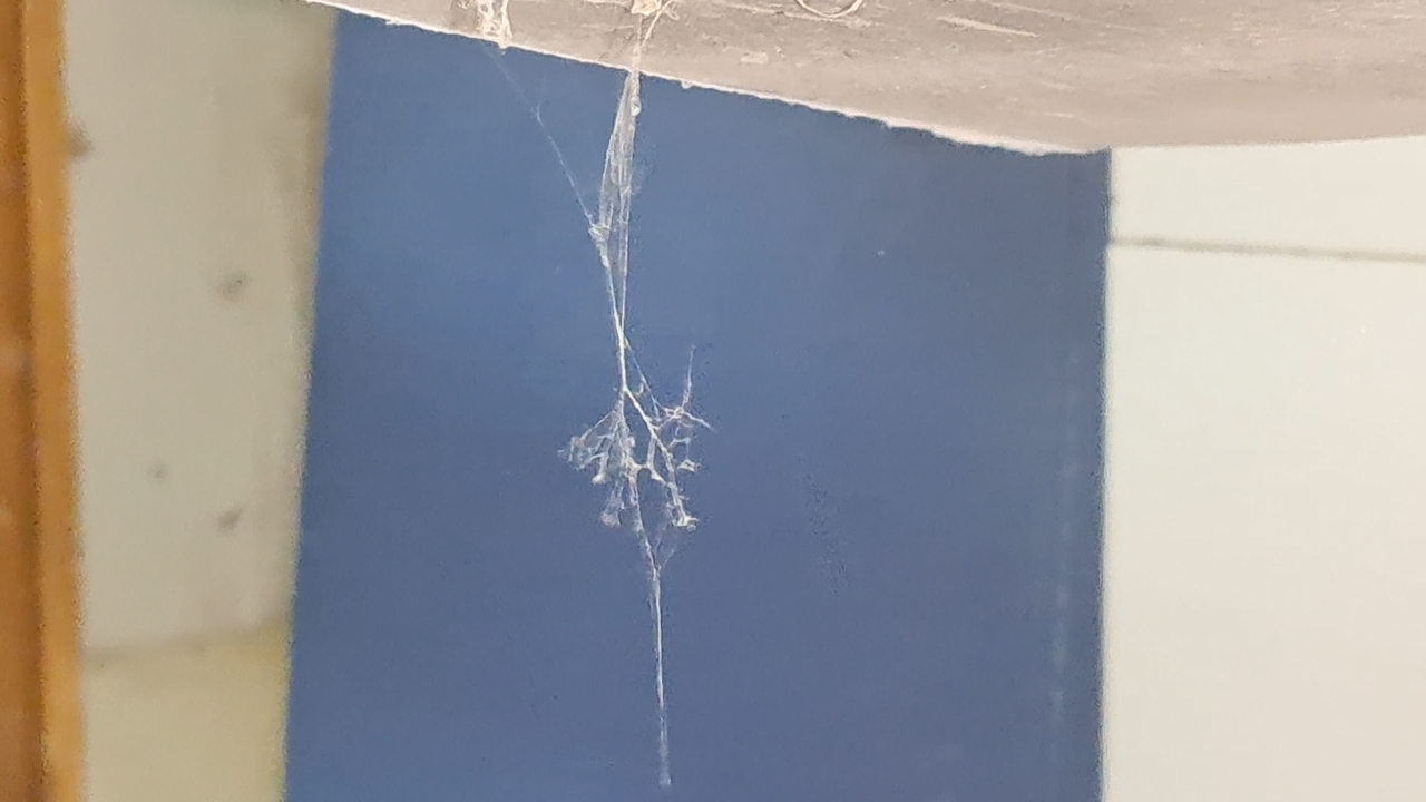 Electrospinning: Solutions of Polystyrene and Polyvinylidene Difluoride in Dimethylformamide