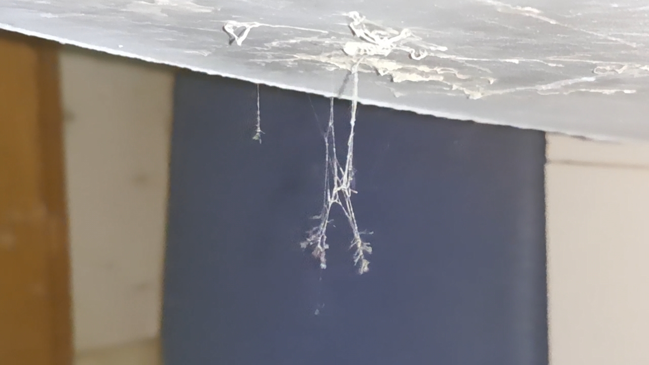 Electrospinning: Solutions of Polystyrene and Polyvinylidene Difluoride in Dimethylformamide