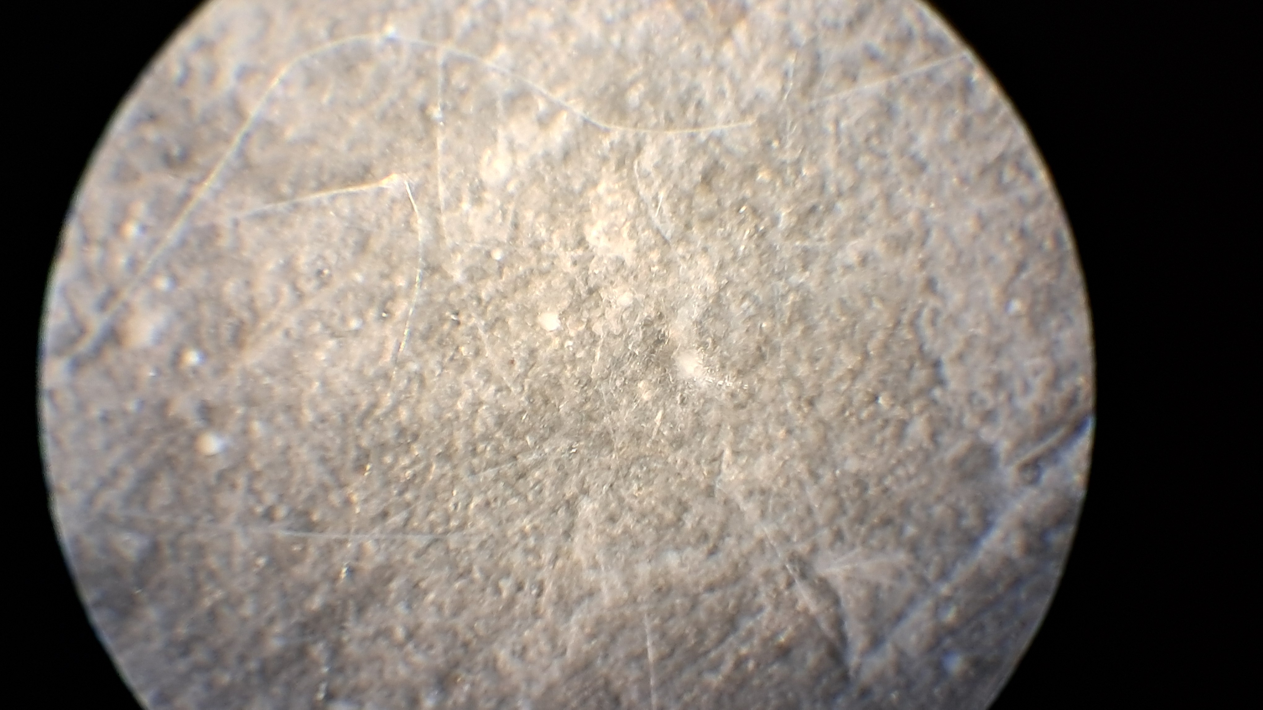 Electrospinning: Solutions of Polystyrene and Polyvinylidene Difluoride in Dimethylformamide