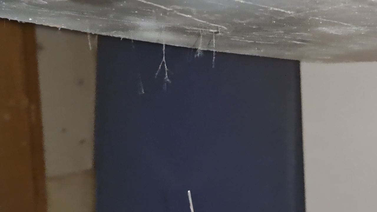 Electrospinning: Polyvinyl Alcohol