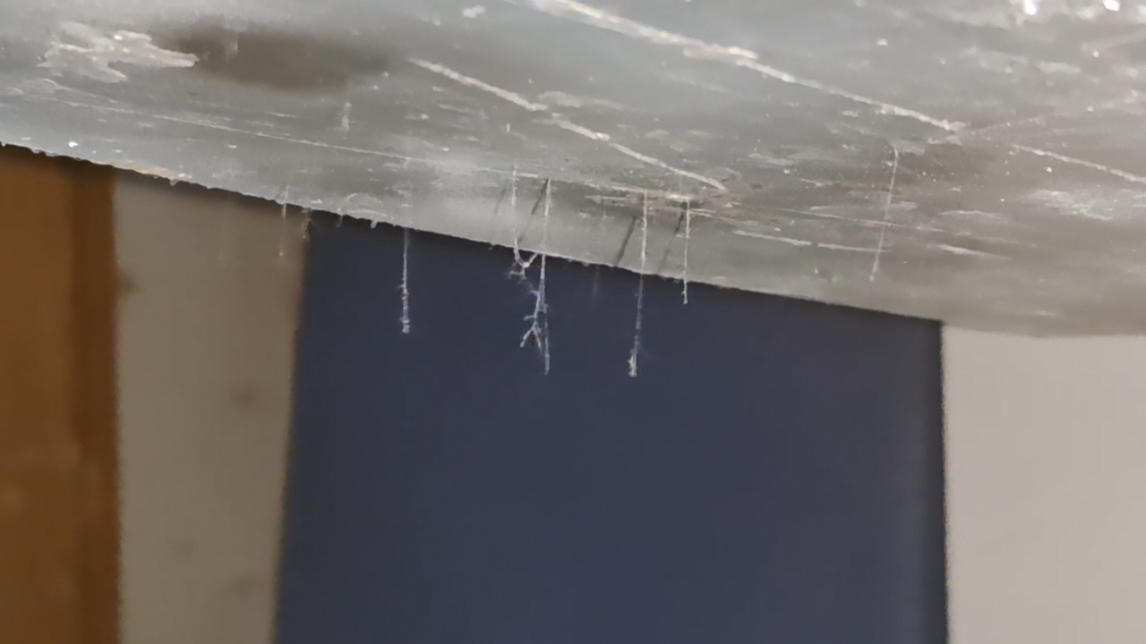 Electrospinning: Polyvinyl Alcohol