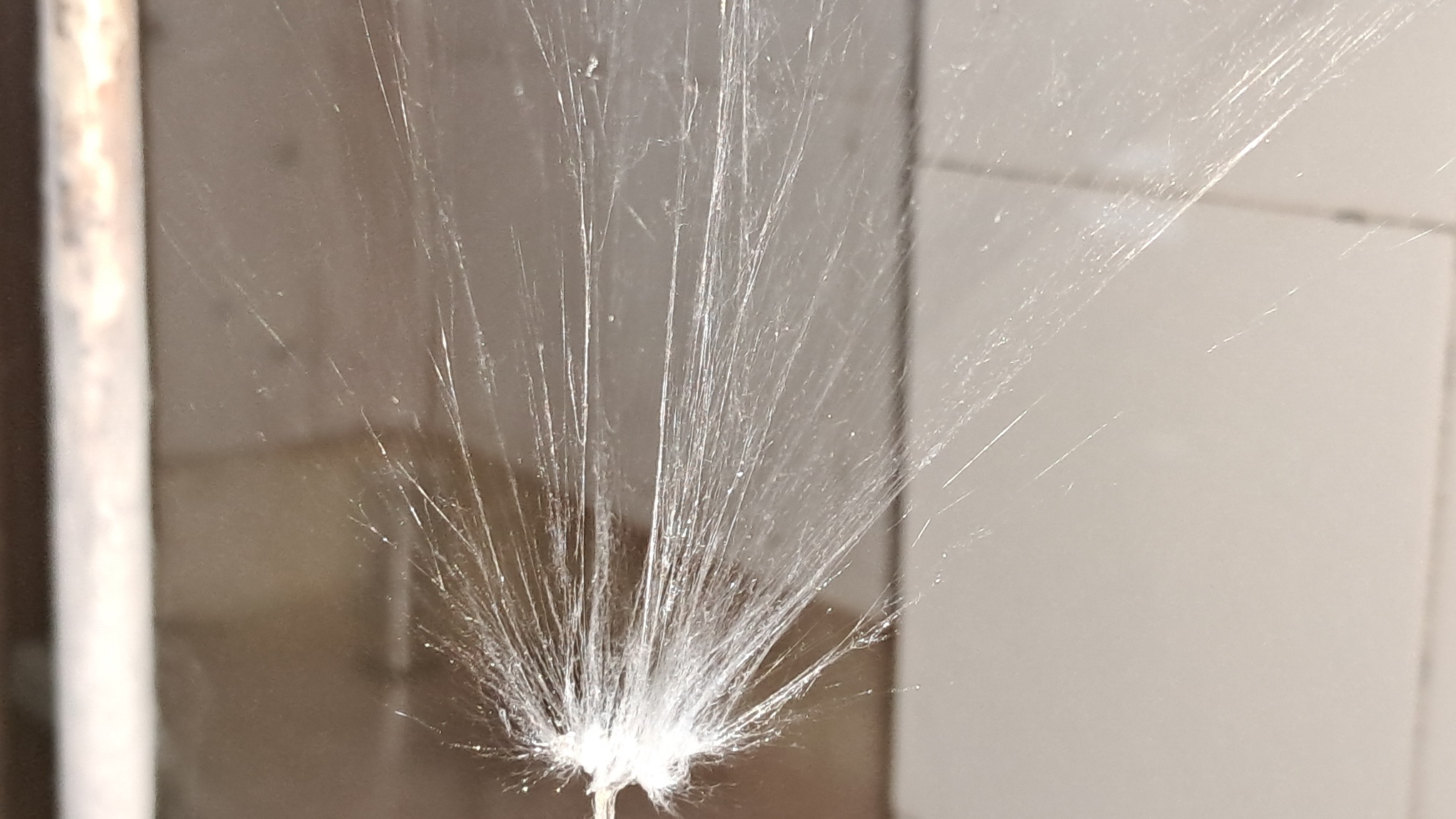 Electrospinning: Solution of Polystyrene in Surrogate Acetone