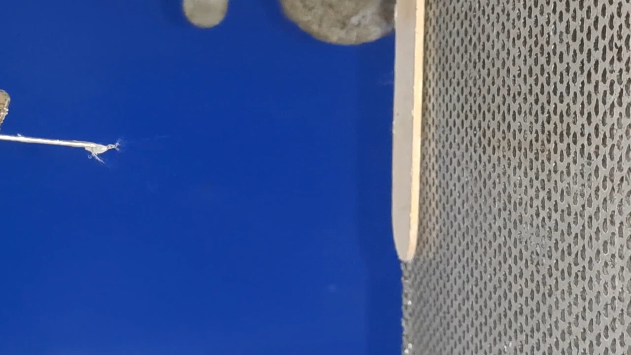 Electrospinning: Solution of Polystyrene in Surrogate Acetone (Trial Experiment)