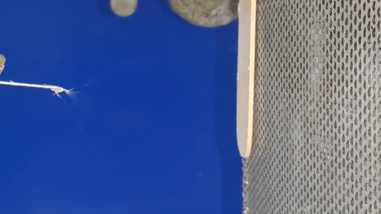 Electrospinning: Solution of Polystyrene in Surrogate Acetone (Trial Experiment)