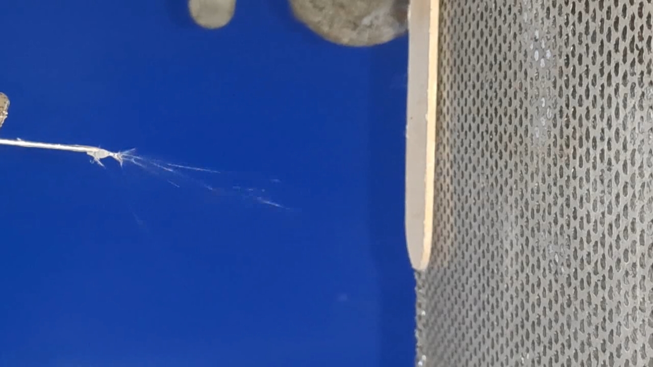 Electrospinning: Solution of Polystyrene in Surrogate Acetone (Trial Experiment)