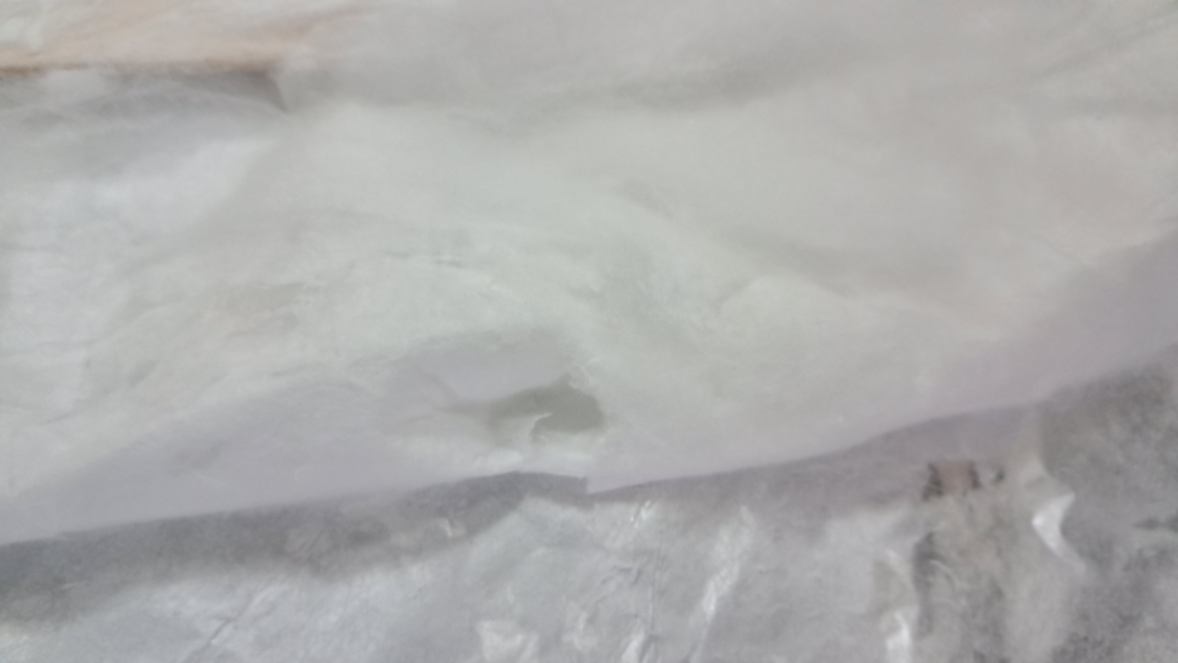 Electrospinning: Solution of Polystyrene in Surrogate Acetone