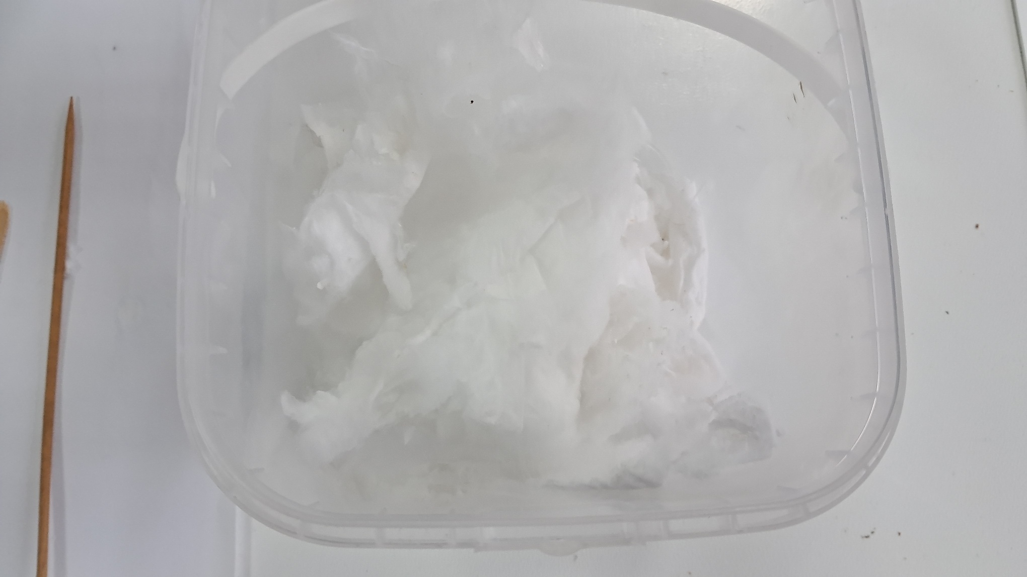 Electrospinning: Solution of Polystyrene in Surrogate Acetone