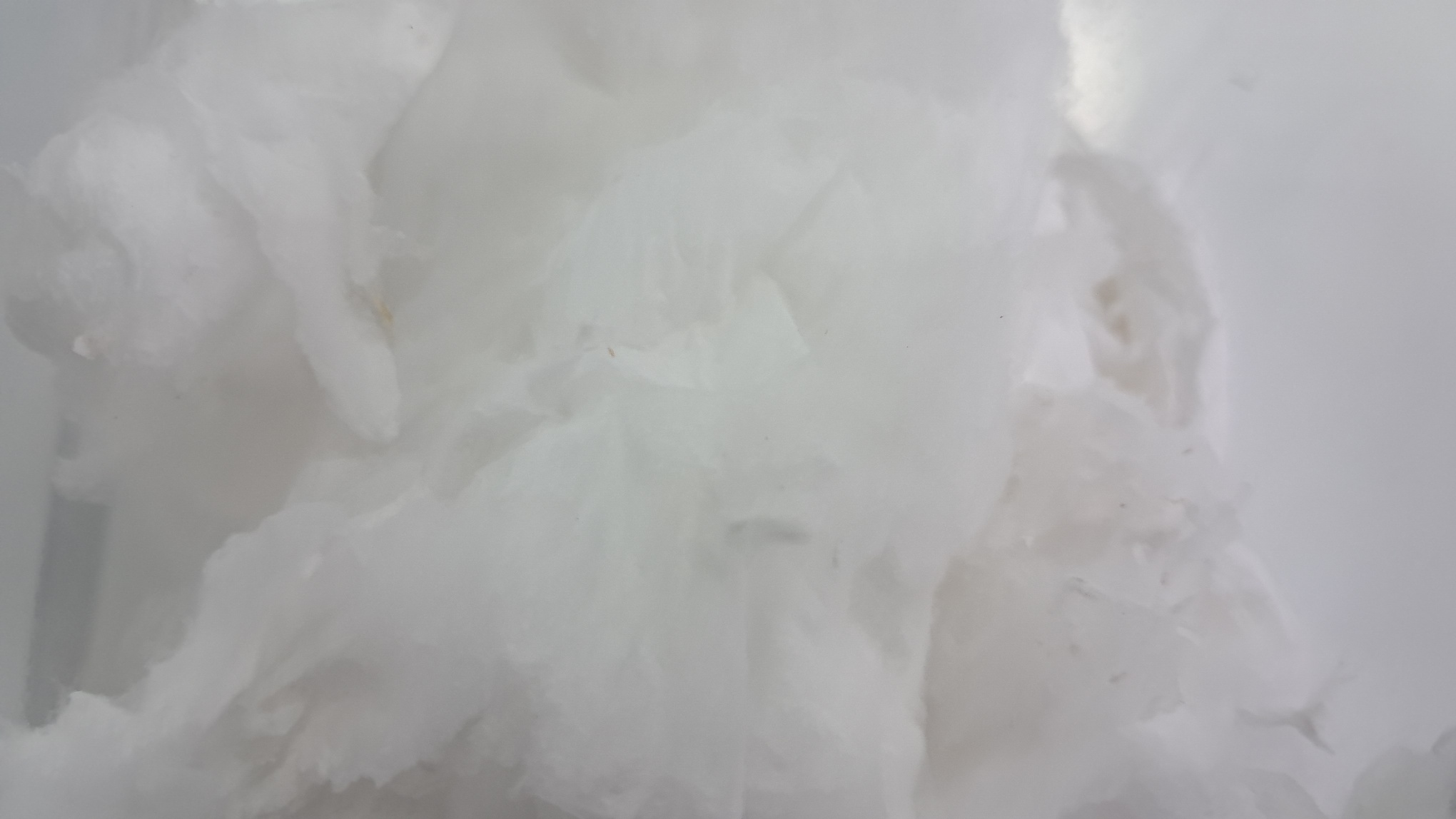 Electrospinning: Solution of Polystyrene in Surrogate Acetone