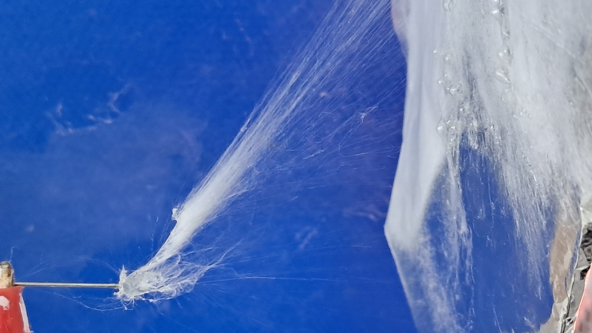 Electrospinning: Solution of Polystyrene in Surrogate Acetone
