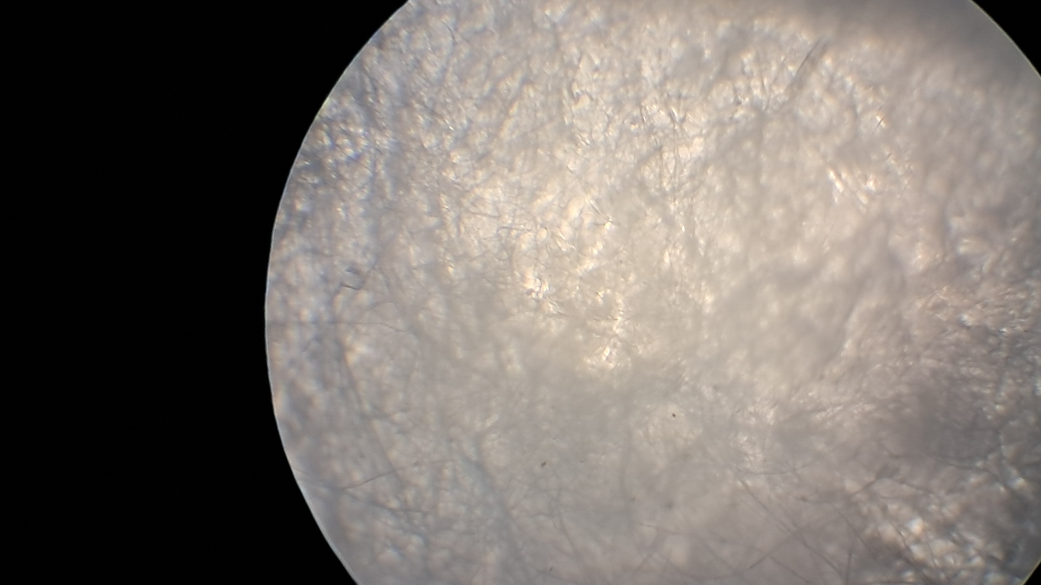 Electrospinning: Solution of Polystyrene in Surrogate Acetone