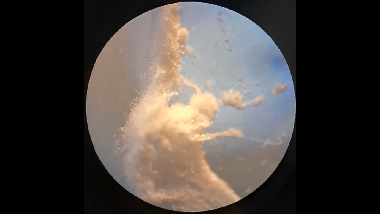 Electrospinning: Solution of Polystyrene in Tetrahydrofuran