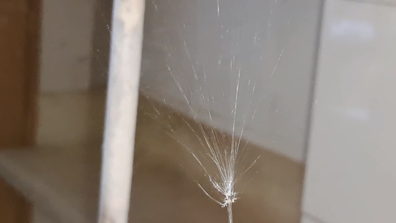 Electrospinning: Solution of Polystyrene in Tetrahydrofuran