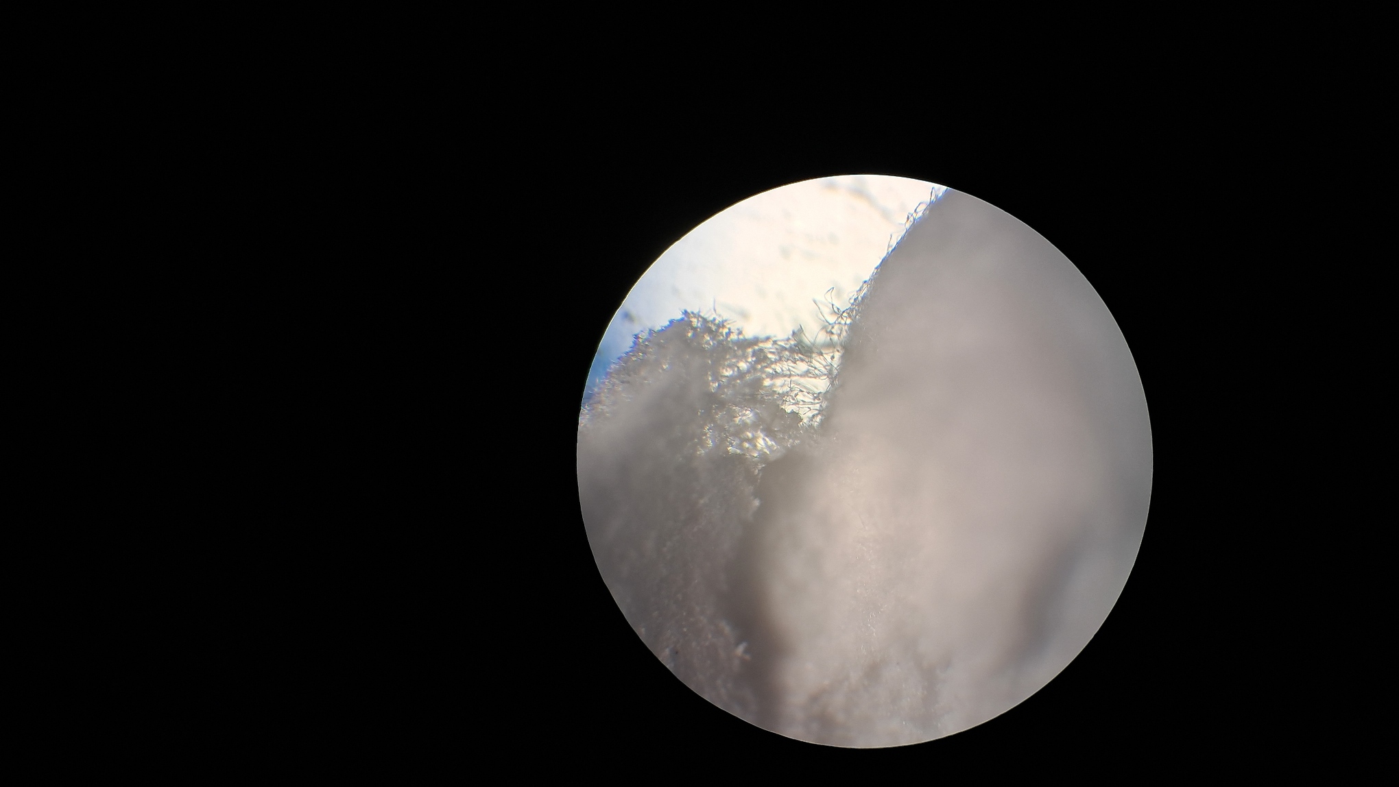 Electrospinning: Solution of Polystyrene in Surrogate Acetone