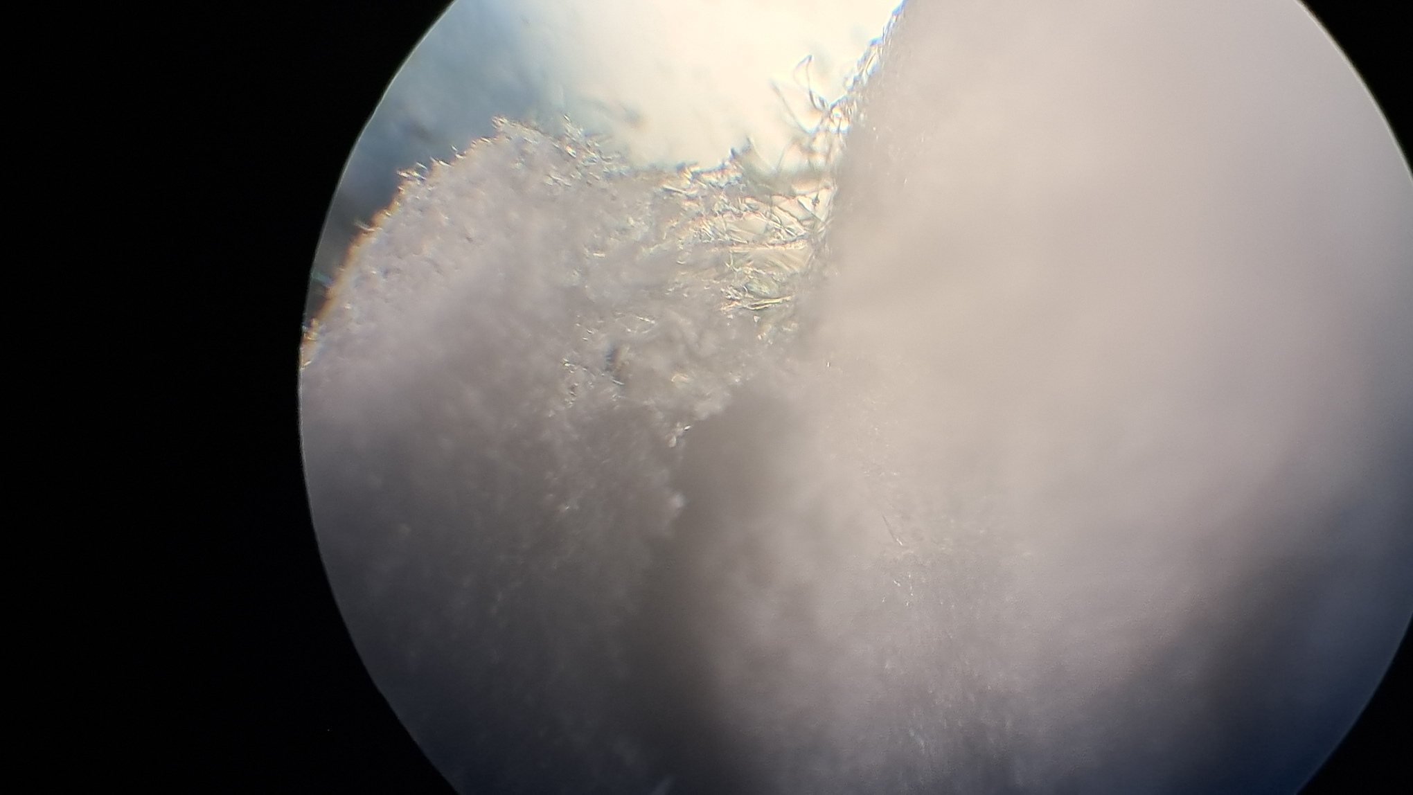 Electrospinning: Solution of Polystyrene in Surrogate Acetone