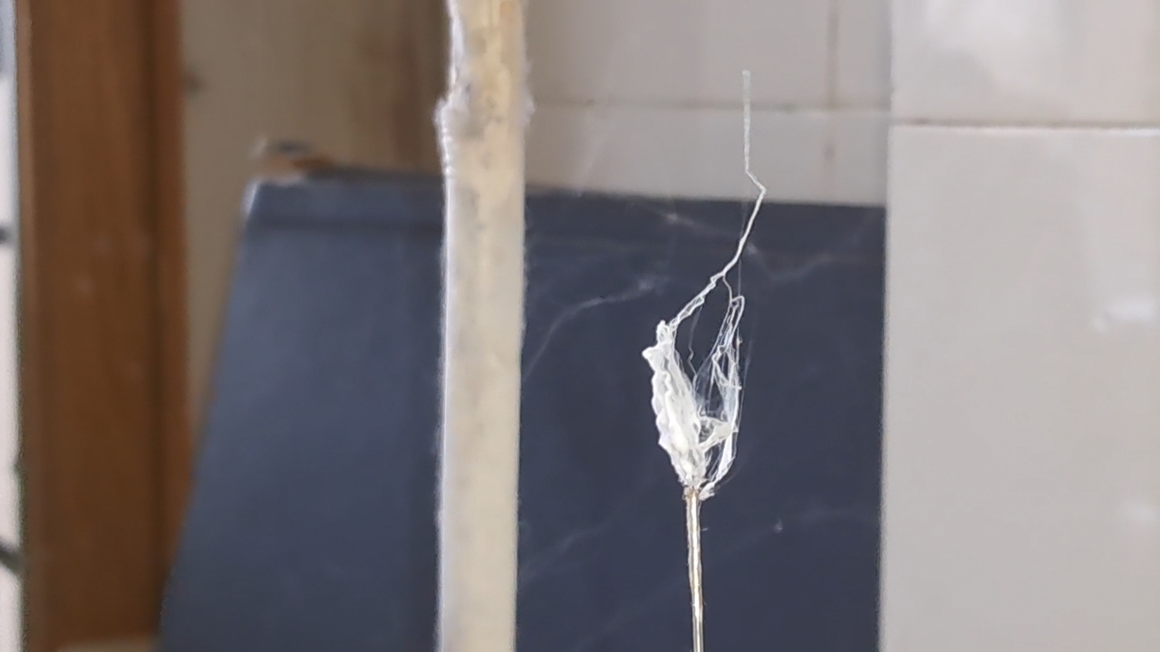 Electrospinning: Solution of Polystyrene in Surrogate Acetone