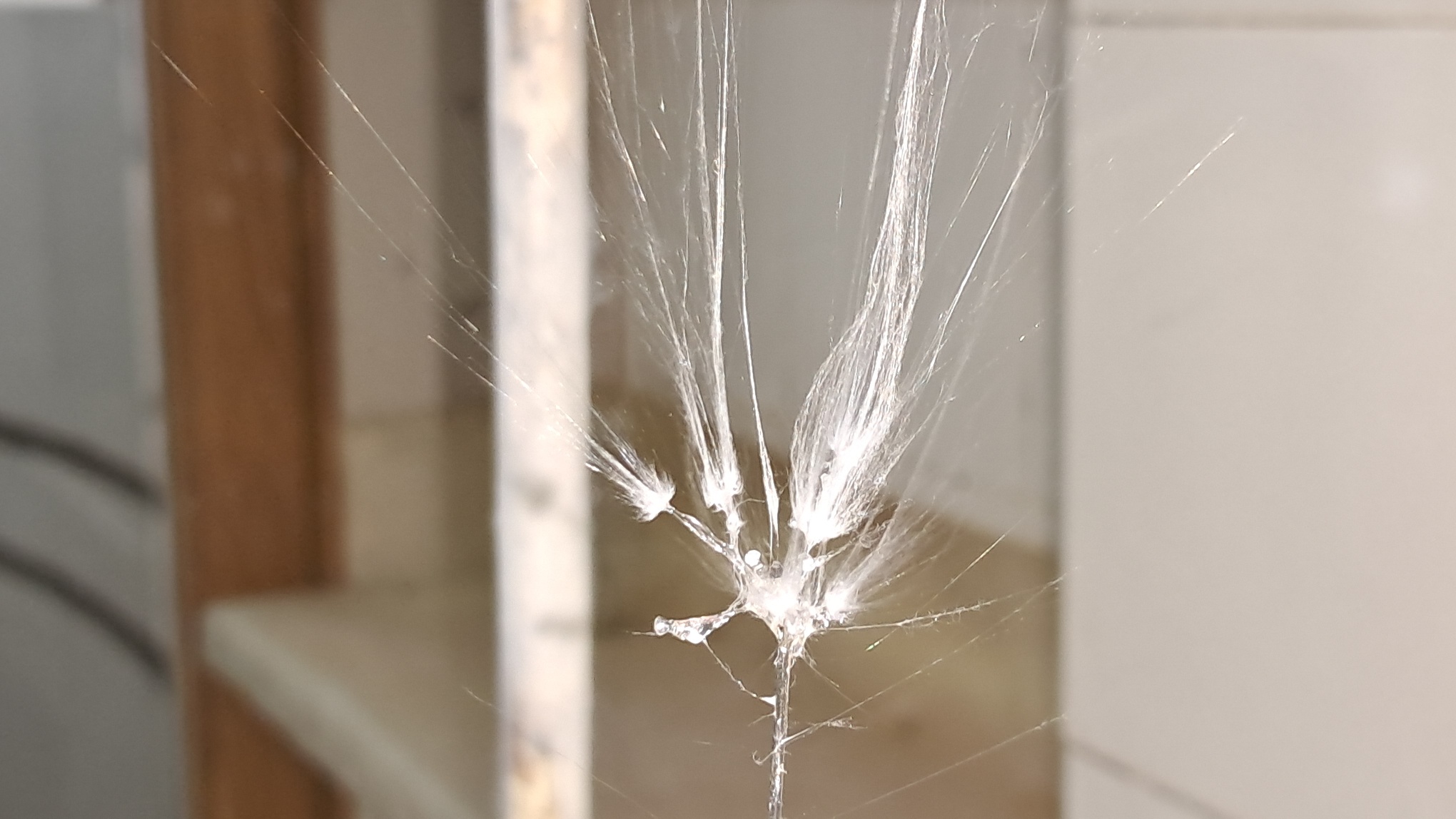 Electrospinning: Solution of Polystyrene in Surrogate Acetone