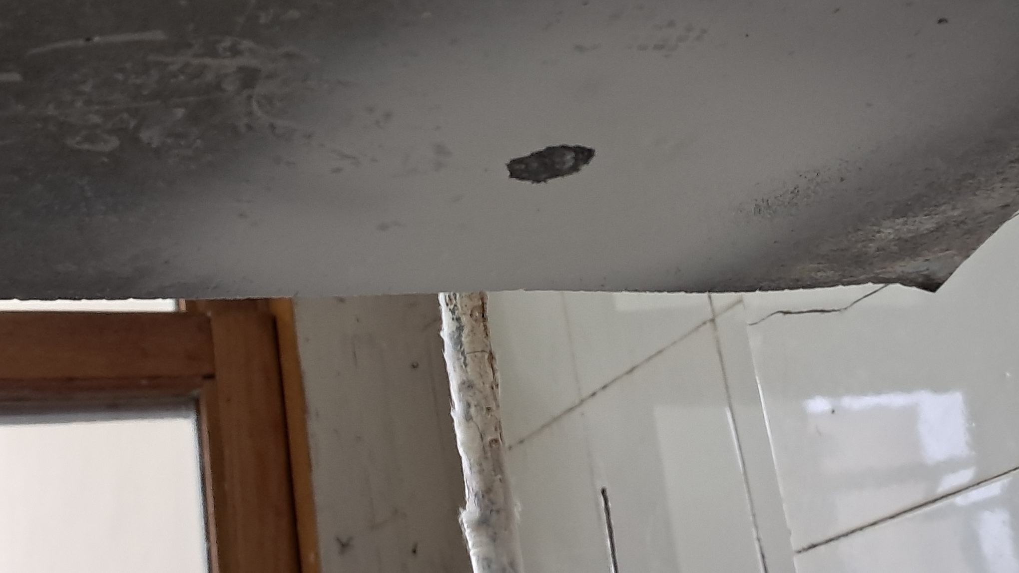 Electrospinning: Solution of Polystyrene in Surrogate Acetone