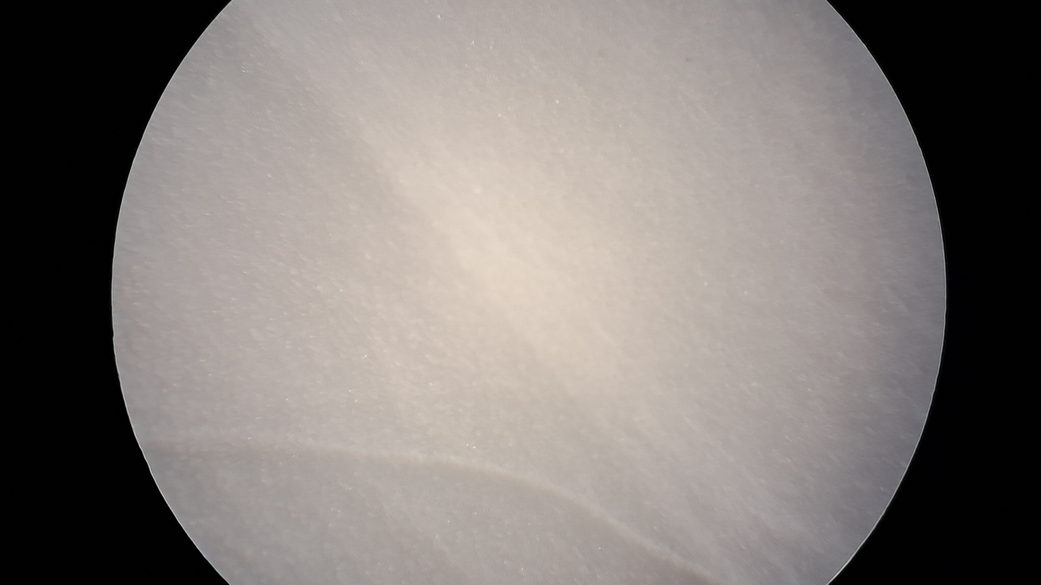 Electrospinning: Solution of Polystyrene in Surrogate Acetone