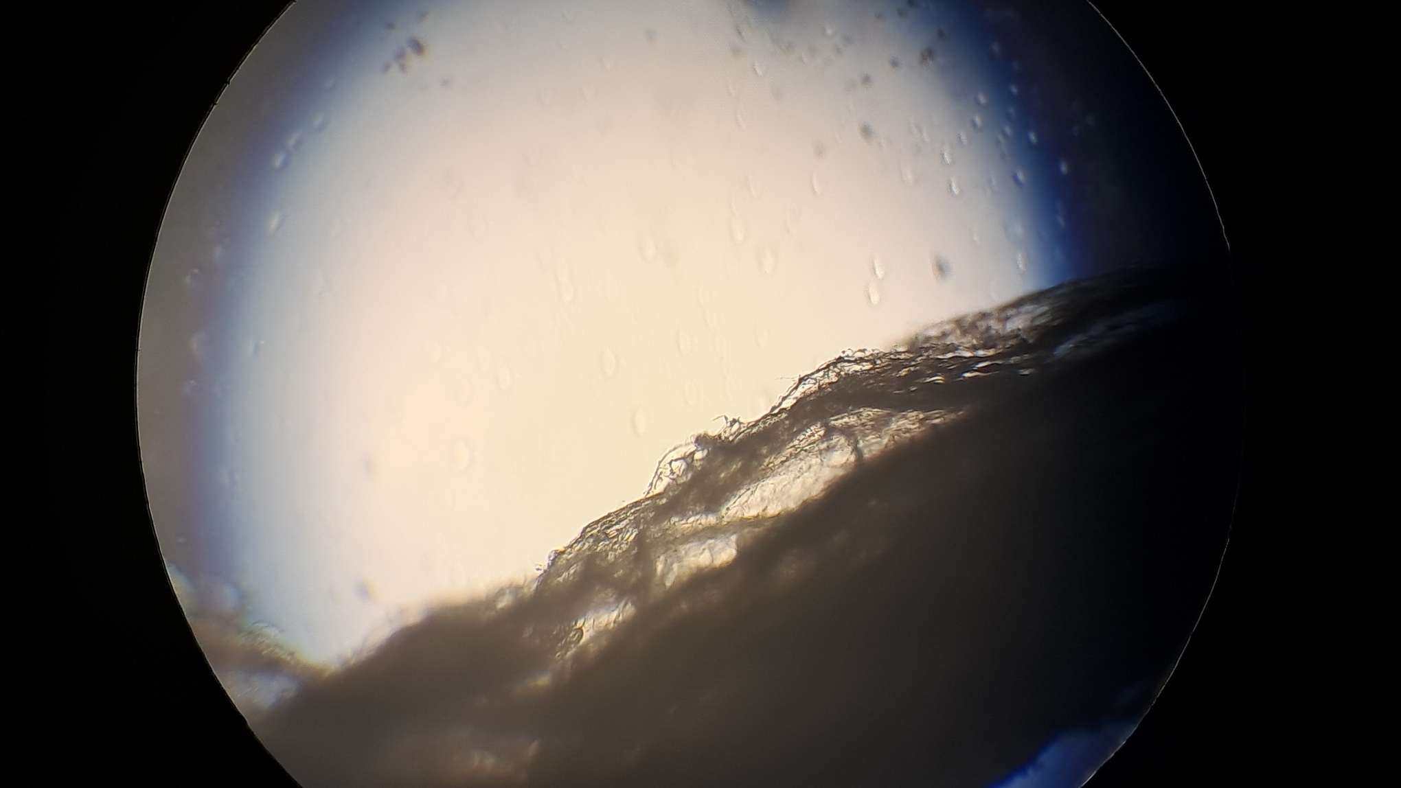 Electrospinning: Solution of Polystyrene in Surrogate Acetone