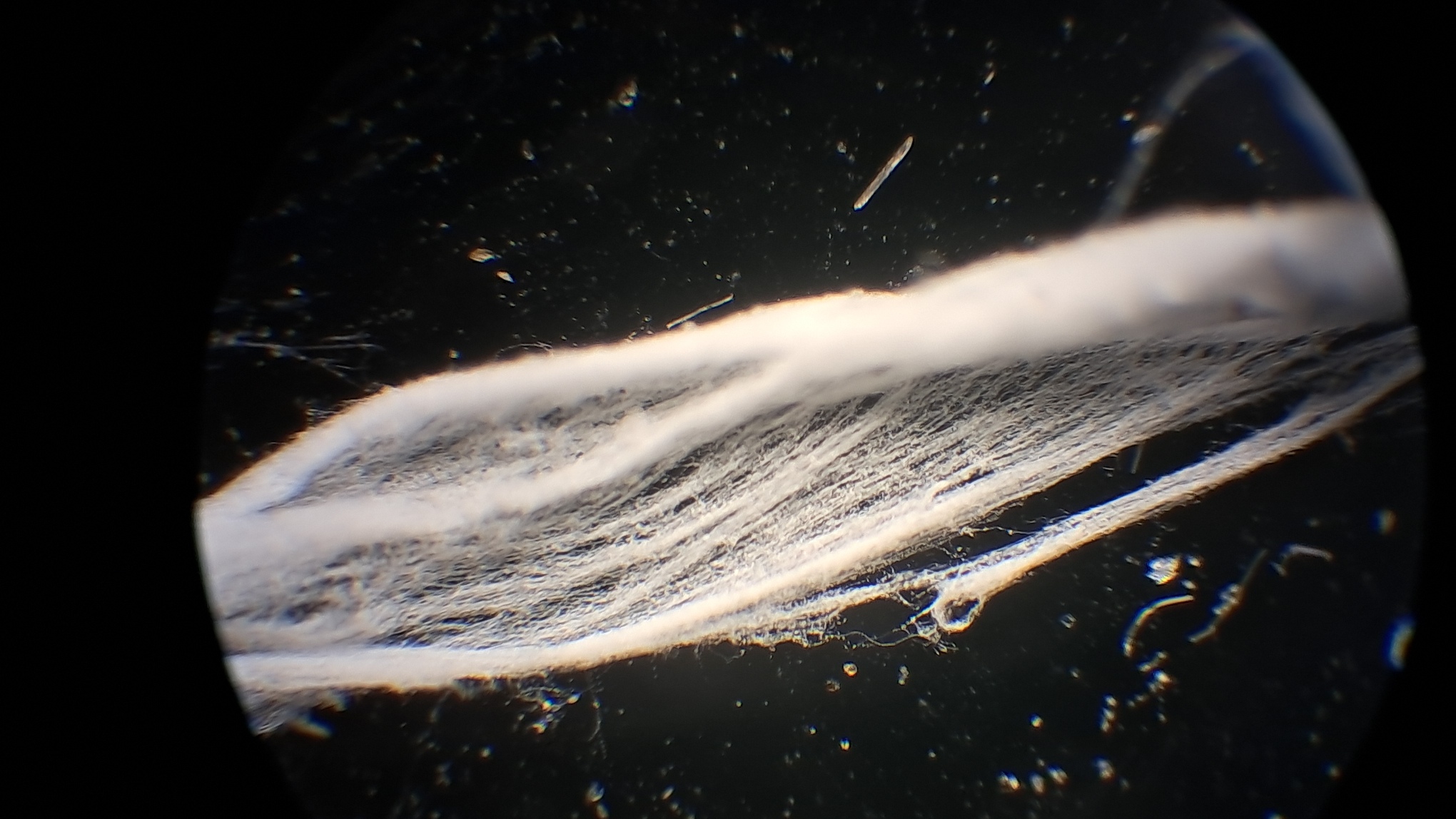 Electrospinning: Solution of Polystyrene in Surrogate Acetone