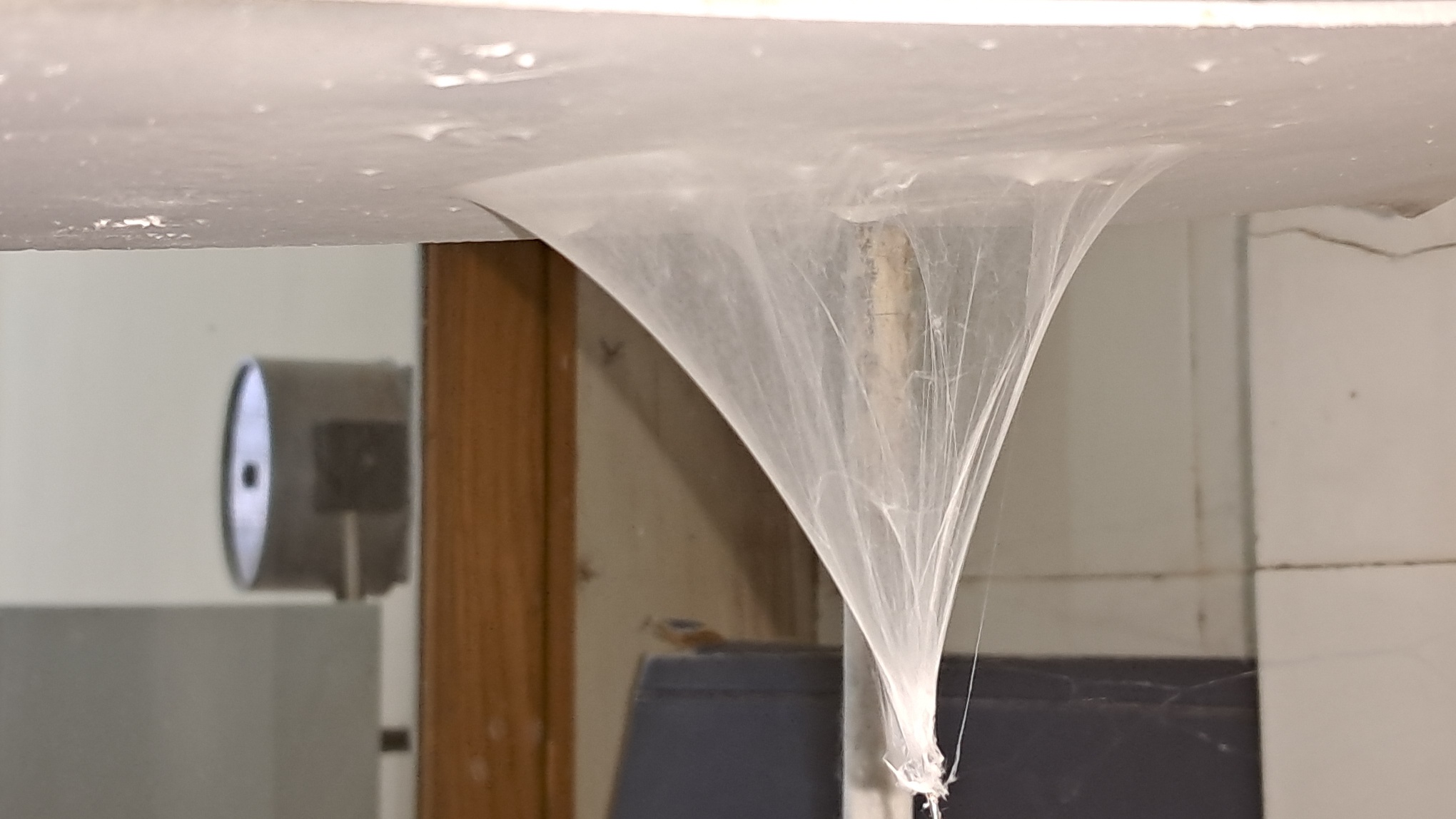 Electrospinning: Solution of Polystyrene in Surrogate Acetone