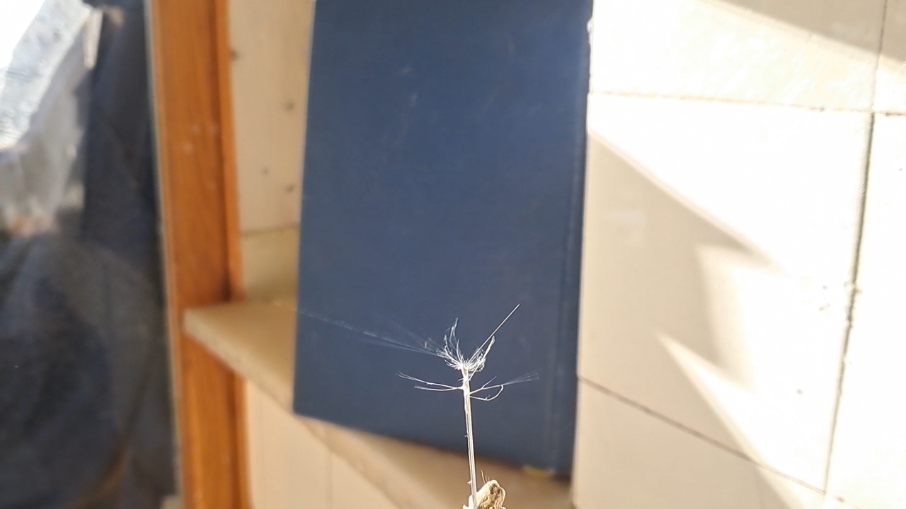 Electrospinning: Solutions of Polystyrene in Dimethylformamide