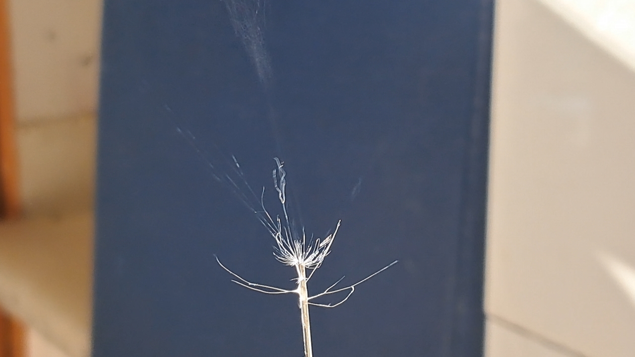 Electrospinning: Solutions of Polystyrene in Dimethylformamide