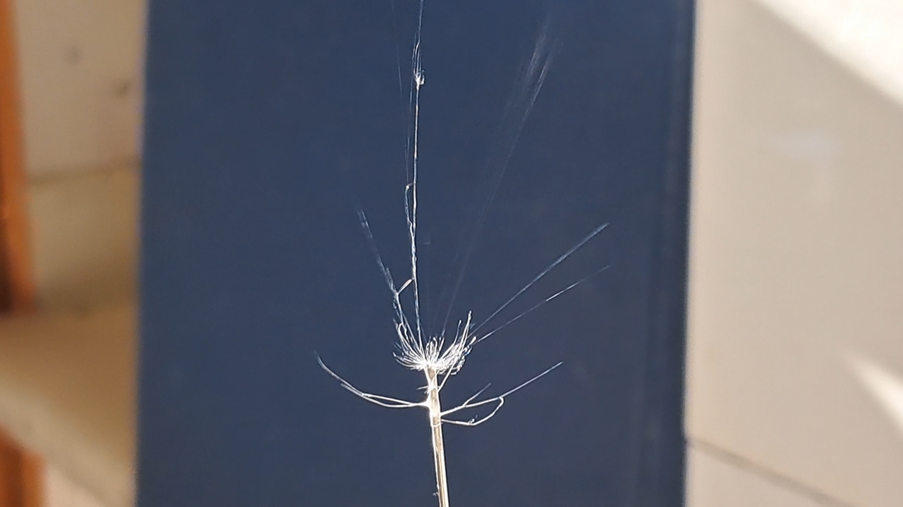 Electrospinning: Solutions of Polystyrene in Dimethylformamide