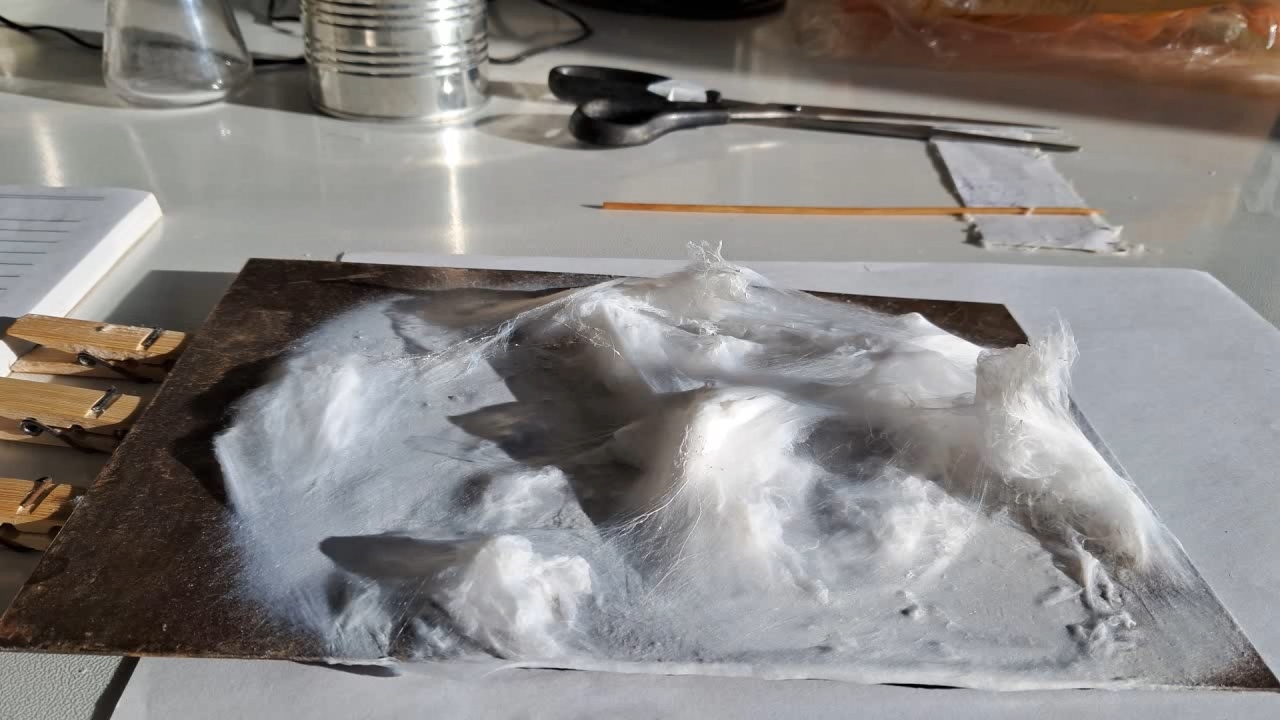 Electrospinning: Solutions of Polystyrene in Dimethylformamide