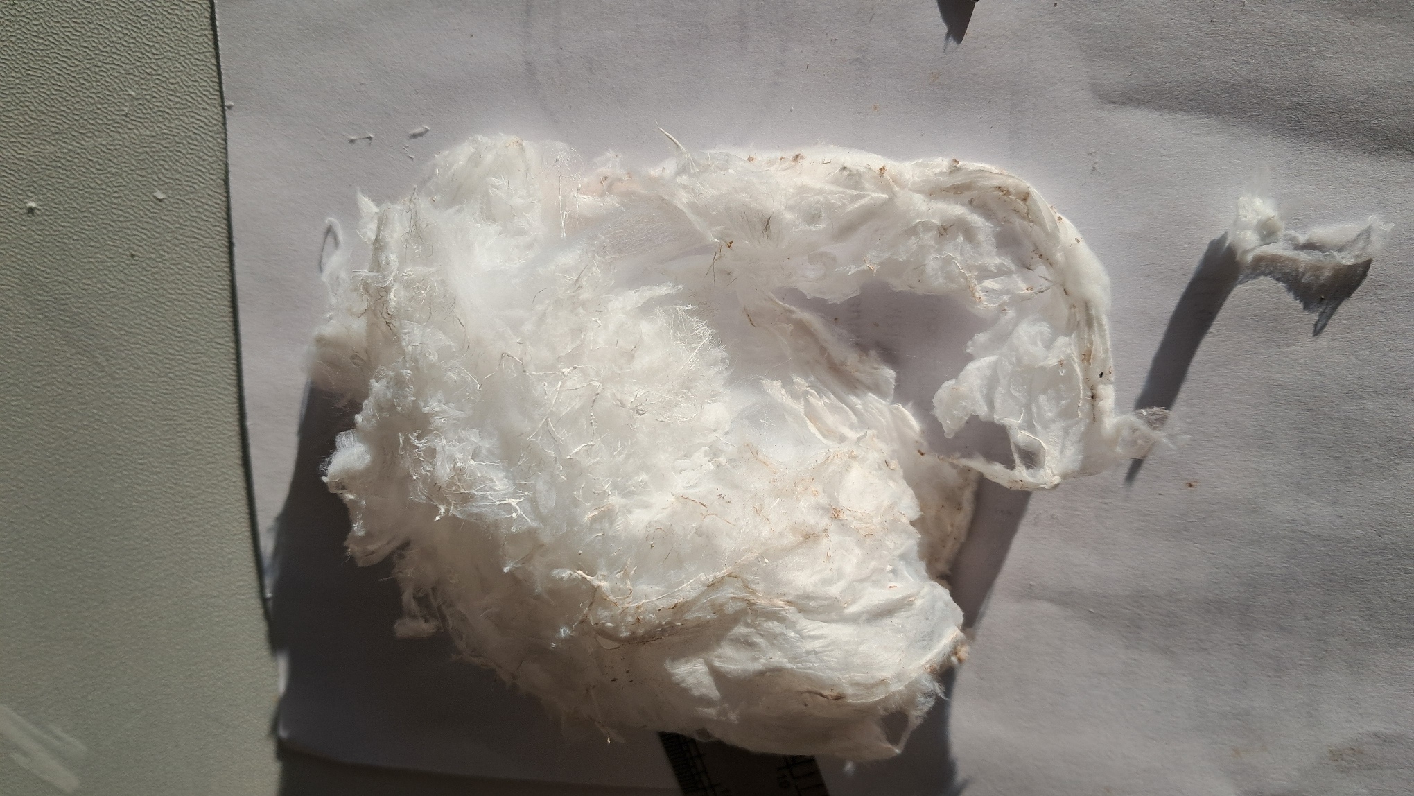 Electrospinning: Solutions of Polystyrene in Dimethylformamide