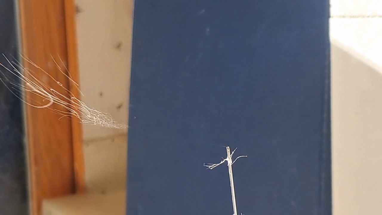 Electrospinning: Solutions of Polystyrene in Dimethylformamide