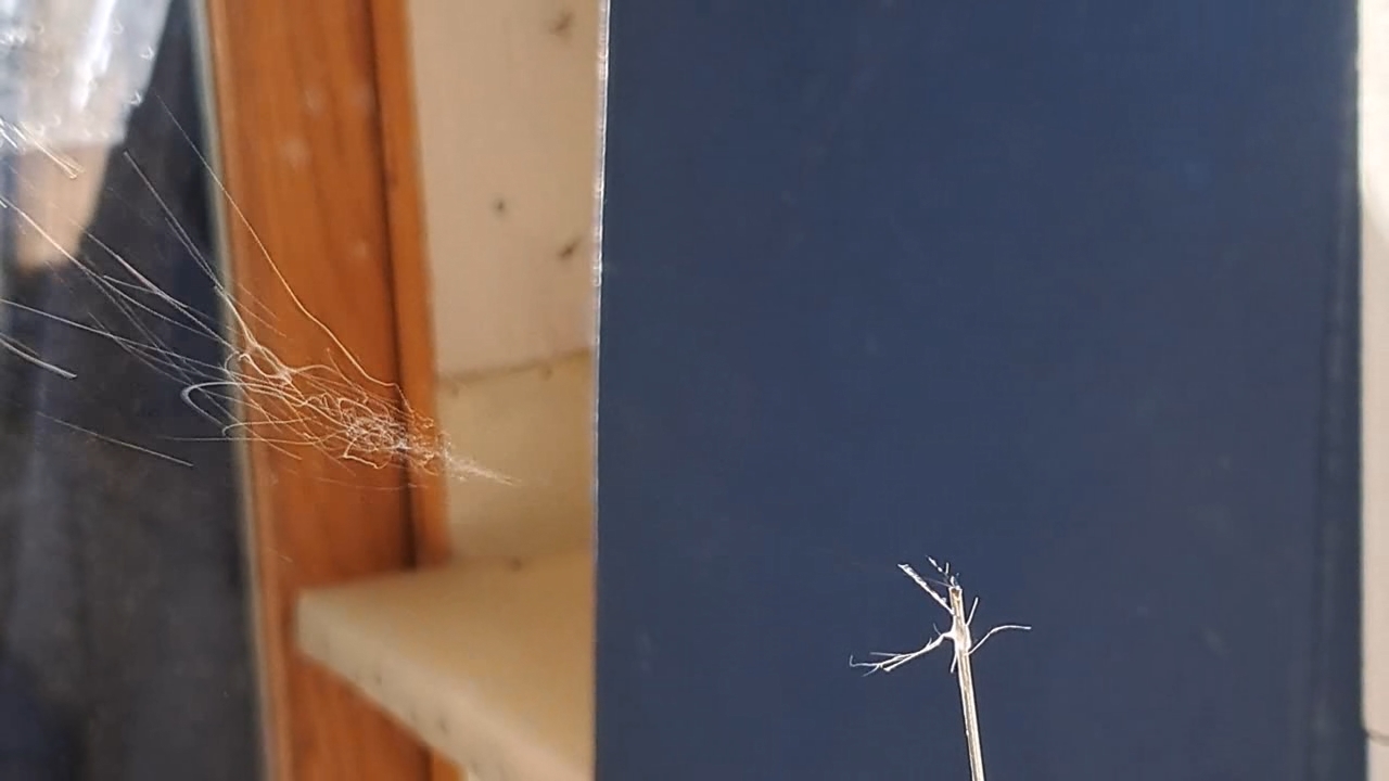 Electrospinning: Solutions of Polystyrene in Dimethylformamide