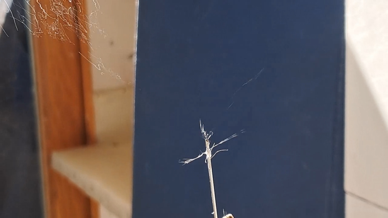 Electrospinning: Solutions of Polystyrene in Dimethylformamide