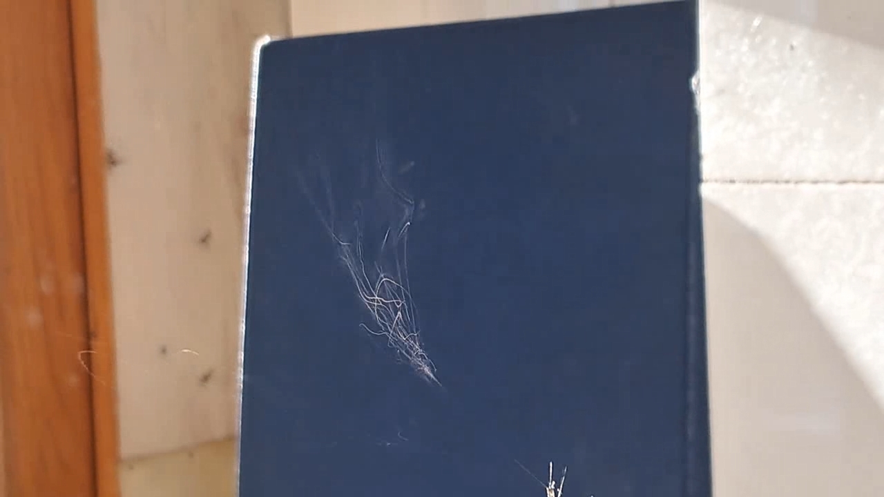 Electrospinning: Solutions of Polystyrene in Dimethylformamide