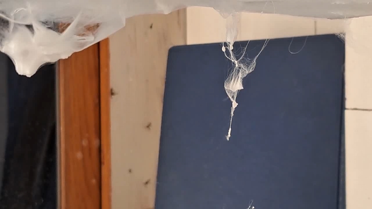 Electrospinning: Solutions of Polystyrene in Dimethylformamide