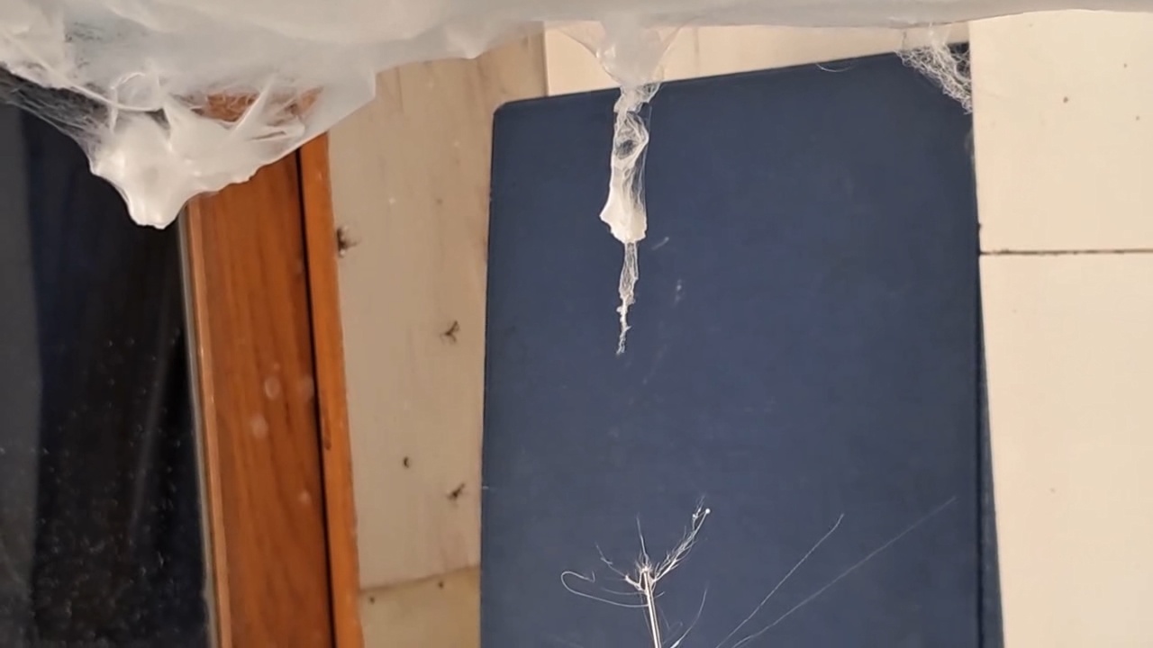 Electrospinning: Solutions of Polystyrene in Dimethylformamide